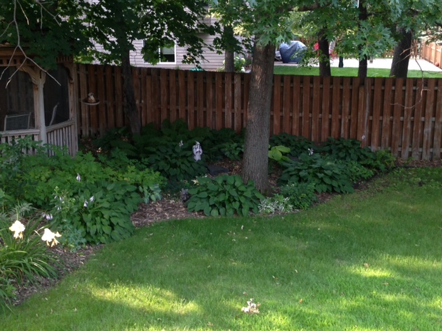 Textures of the foliage are overseen by the Watcher!