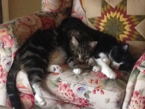 Too much excitement...